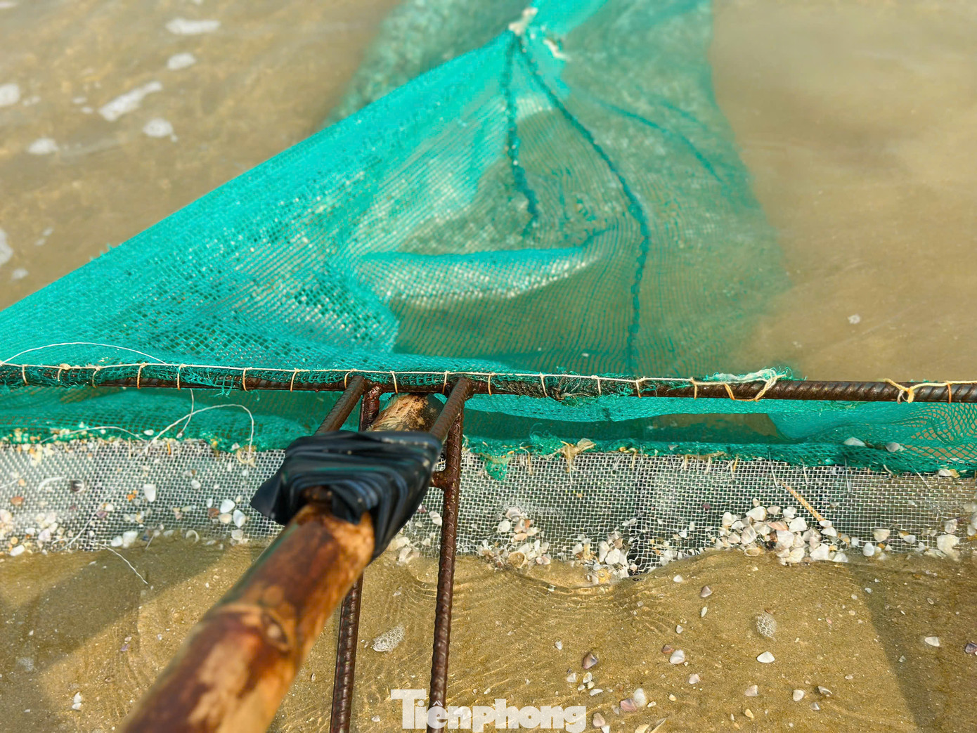 Để đánh bắt loại hải sản này, người dân mang theo những chiếc cào tự chế, cao khoảng 1,2m đến hơn 2m gắn thêm túi lưới ở phía dưới dài chừng 5m để đựng ốc. Để đánh bắt loại hải sản này, người dân mang theo những chiếc cào tự chế, cao khoảng 1,2m đến hơn 2m gắn thêm túi lưới ở phía dưới dài chừng 5m để đựng ốc.