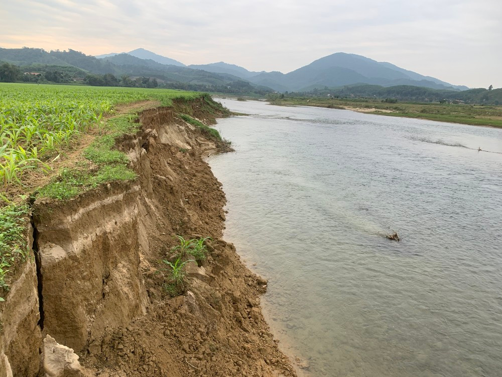 “Thời gian qua, nhiều người dân thôn Kim Thành phản ánh tình trạng đất sản xuất hoa màu bị sạt lở, dòng sông Ngàn Phố tiếp tục lấn sâu vào bên trong. Địa phương cũng đã đề xuất lên cấp trên để có phương án xử lý, xây dựng bờ kè để người dân an tâm, tuy nhiên phải chờ đợi”, lãnh đạo UBND xã Sơn Tây cho biết.