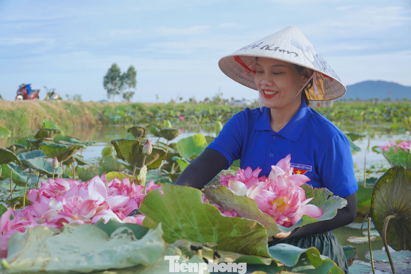 "Sen được trồng trên cánh đồng rộng hơn 2ha, đến nay phát triển tốt, cho hiệu quả kinh tế cao. Đến mùa, hoa nở đón khách đến tham quan và chụp ảnh, sau đó thu hái để bán nguyên liệu làm trà sen và rượu.... Năm nay sen được mùa, được giá nên chúng tôi rất phấn khởi", chị Nguyễn Thị Trang - Bí thư Đoàn xã Thạch Hưng (thành phố Hà Tĩnh) cho biết. "Sen được trồng trên cánh đồng rộng hơn 2ha, đến nay phát triển tốt, cho hiệu quả kinh tế cao. Đến mùa, hoa nở đón khách đến tham quan và chụp ảnh, sau đó thu hái để bán nguyên liệu làm trà sen và rượu.... Năm nay sen được mùa, được giá nên chúng tôi rất phấn khởi", chị Nguyễn Thị Trang - Bí thư Đoàn xã Thạch Hưng (thành phố Hà Tĩnh) cho biết.