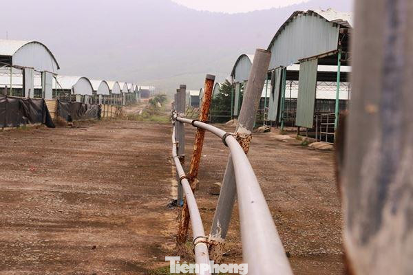 Một số hình ảnh bên trong dự án tan hoang sau nhiều năm không thực hiện chăn nuôi bò như cam kết.