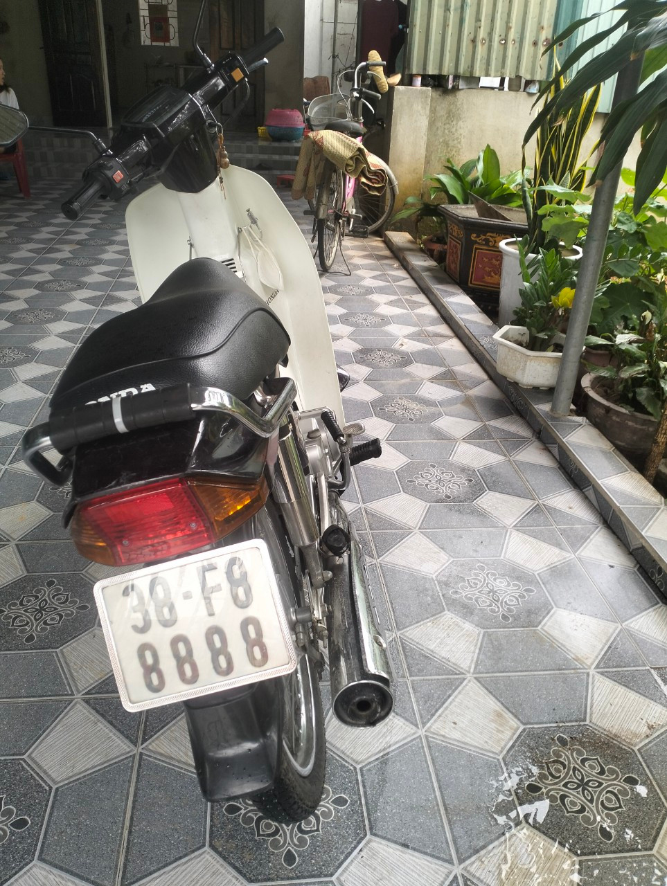 Anh X.T cung cấp hình ảnh chiếc xe Honda Super Dream biển số 38 F8-8888. Ảnh: X.T