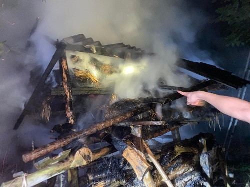 Do ghen tuông, Hiệu đã đốt chuồng và hạ độc hai con bò.