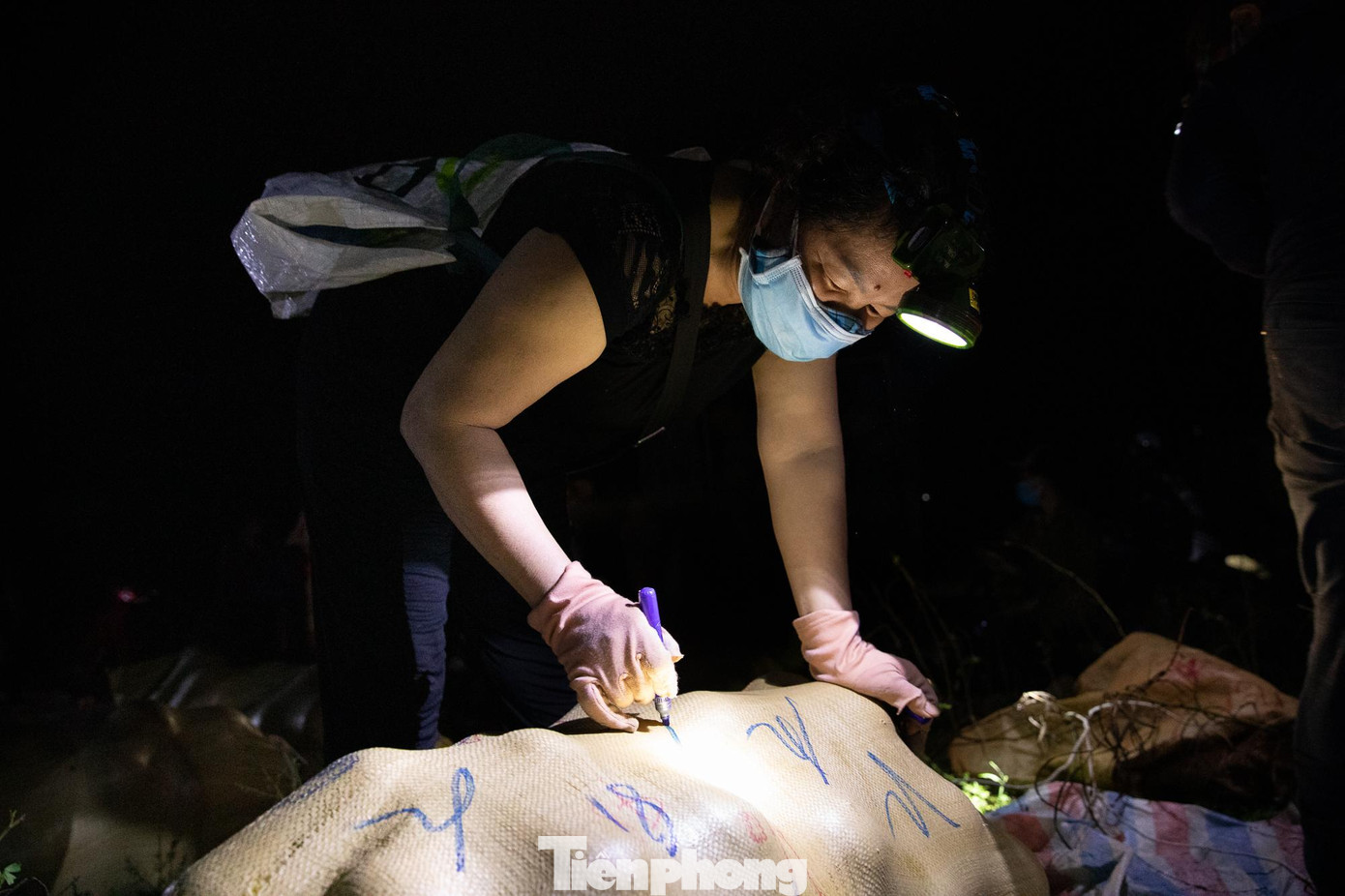 Bưởi Phúc Trạch được bán từ 25-35 ngàn đồng/quả tại vườn, còn giá bưởi lâu năm hơn 50 ngàn đồng/quả. Trong ảnh người phụ nữ đang ký hàng gửi để đưa lên xe vận chuyển đi ngoại tỉnh tiêu thụ.