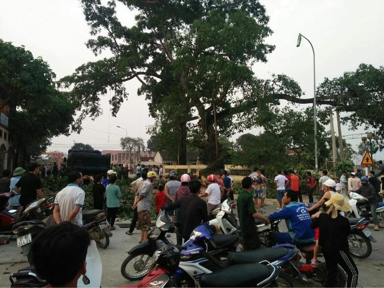 Thời điểm cây đa gãy đổ đúng lúc phụ huynh đi đón học sinh.