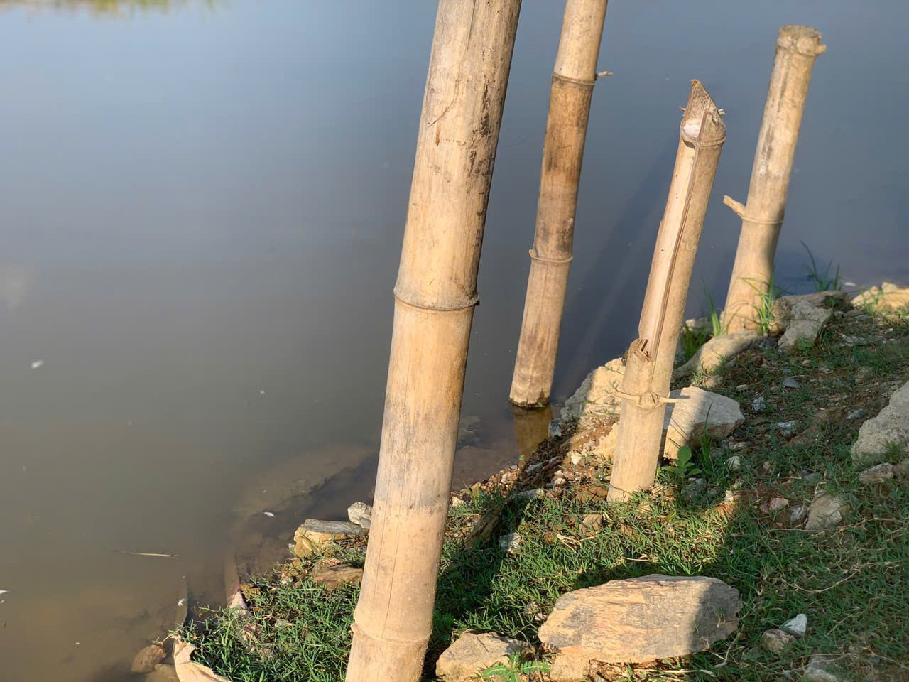 Ông Phan Kỳ - Phó Chủ tịch UBND huyện Hương Khê, cho biết, trong quá trình kiểm tra, những hồ đập không đảm bảo an toàn, huyện đã yêu cầu các địa phương, đơn vị không tích nước hoặc hạn chế tích nước để đảm bảo an toàn khi mùa mưa lũ đến. Đặc biệt, địa phương thực hiện phương án “4 tại chỗ”, huy động lực lượng, phương tiện tu sửa, gia cố hồ đập và lồng ghép các nguồn vốn để sửa chữa, nâng cấp, xây dựng công trình. Ông Phan Kỳ - Phó Chủ tịch UBND huyện Hương Khê, cho biết, trong quá trình kiểm tra, những hồ đập không đảm bảo an toàn, huyện đã yêu cầu các địa phương, đơn vị không tích nước hoặc hạn chế tích nước để đảm bảo an toàn khi mùa mưa lũ đến. Đặc biệt, địa phương thực hiện phương án “4 tại chỗ”, huy động lực lượng, phương tiện tu sửa, gia cố hồ đập và lồng ghép các nguồn vốn để sửa chữa, nâng cấp, xây dựng công trình.