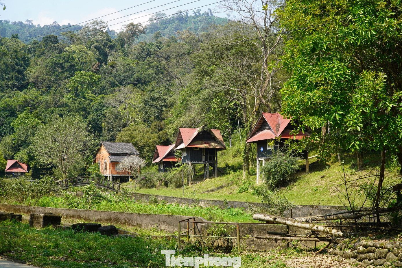 Khu sinh thái Sơn Kim 1 được một doanh nghiệp đầu tư với nguồn vốn hàng chục tỷ đồng trên diện tích khoảng hơn 10ha vào năm 2000.