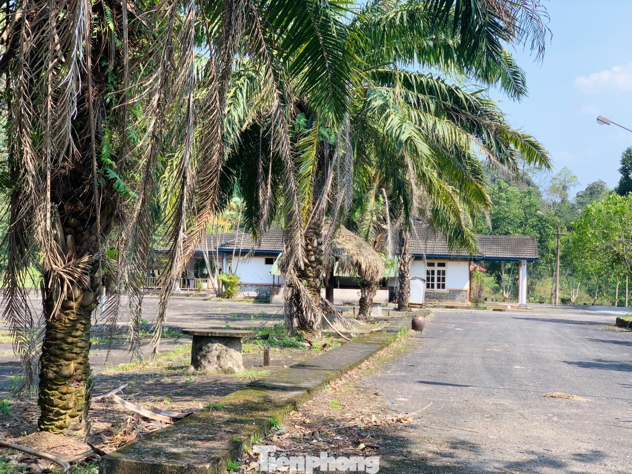 Ông Hoàng Văn Thư – Chủ tịch UBND xã Sơn Kim 1, huyện Hương Sơn cho biết, Khu du lịch sinh thái nước khoáng nóng Sơn Kim có tiềm năng lợi thế để phát triển kinh tế du lịch, tuy nhiên nhiều năm qua bỏ hoang vì không có khách, hạ tầng xuống cấp.