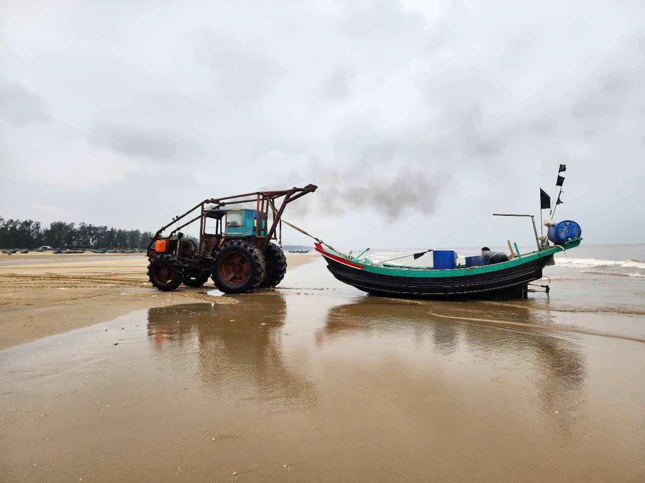 Từ cuối tháng 3, người dân vùng bãi ngang xã Thạch Trị, Thạch Văn (thành phố Hà Tĩnh) bắt đầu ra khơi đánh bắt sứa. Đối với những ngư dân vùng ven biển, đây là “mùa vàng” khi họ có thể thu hoạch loài sứa gần bờ, mang lại nguồn thu nhập lớn.