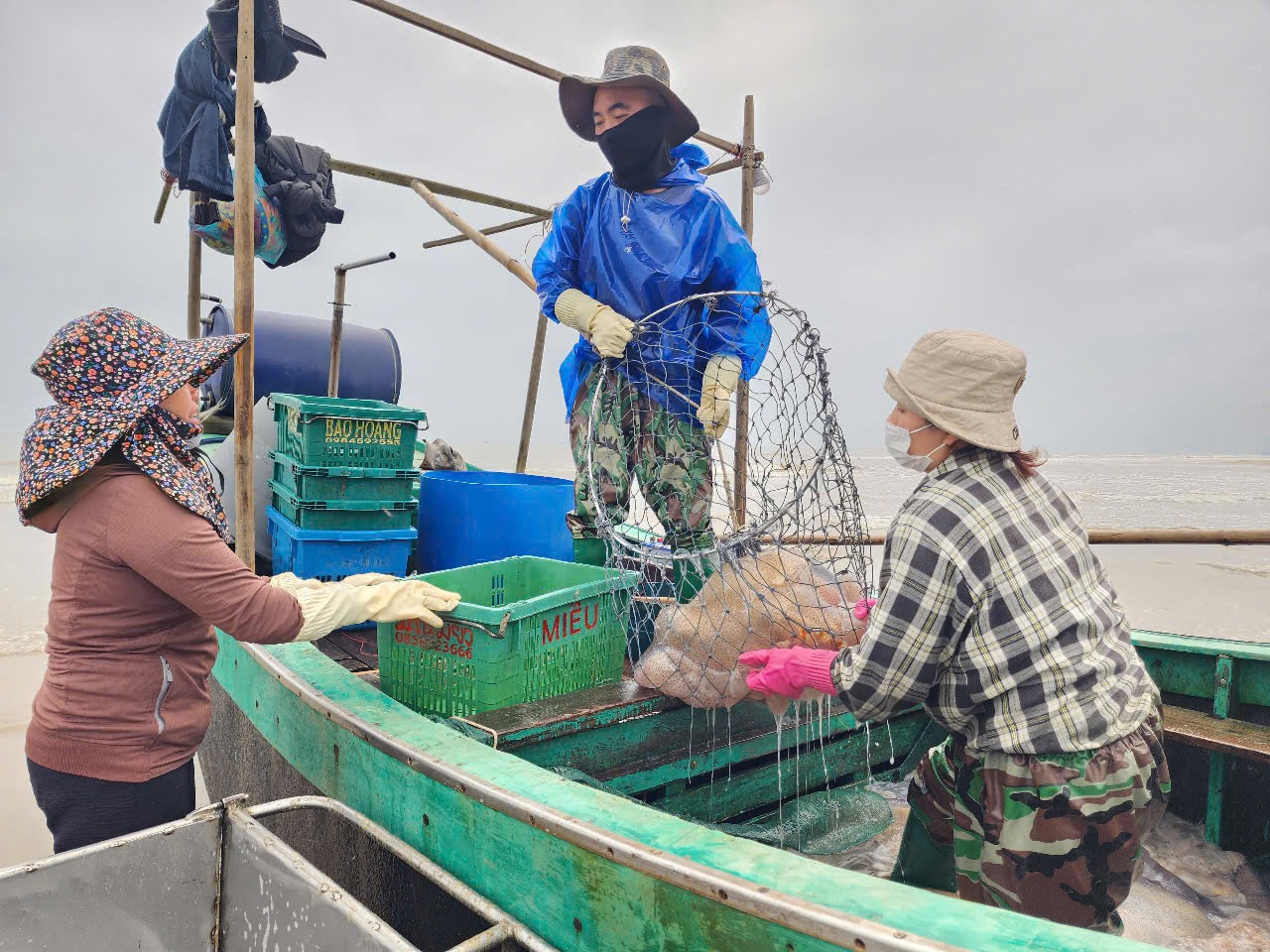 Sau khi thuyền cập bờ, sứa được bán cho thương lái, ngư dân vội vàng cho tàu ra khơi để tiếp tục đánh bắt những chuyến sứa kế tiếp.