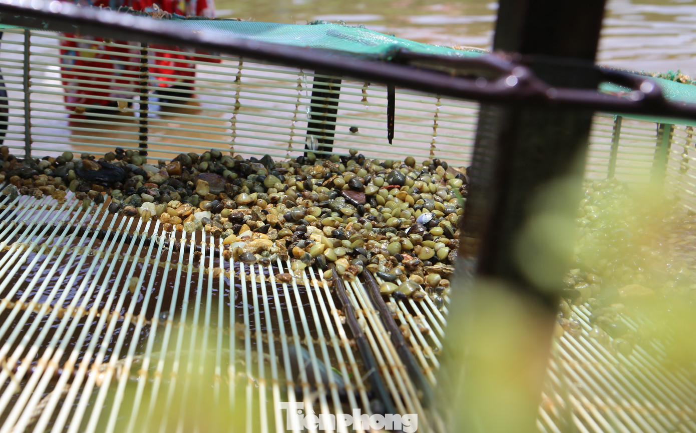 Dụng cụ cào hến được làm bằng tấm lưới, sắt và tay cầm được làm từ cây tre hoạch thanh gỗ....