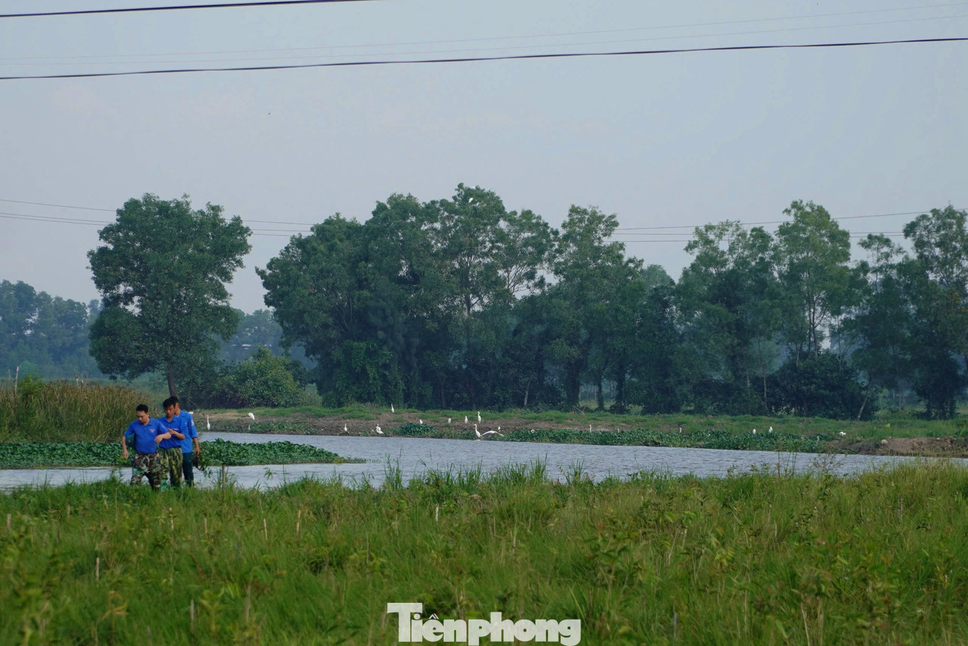 Tại khu vực sông Đông, ngành chức năng đang từng bước xây dựng một vườn chim nhân tạo nhằm bảo tồn chim trời và phát triển du lịch sinh thái, du lịch trải nghiệm.