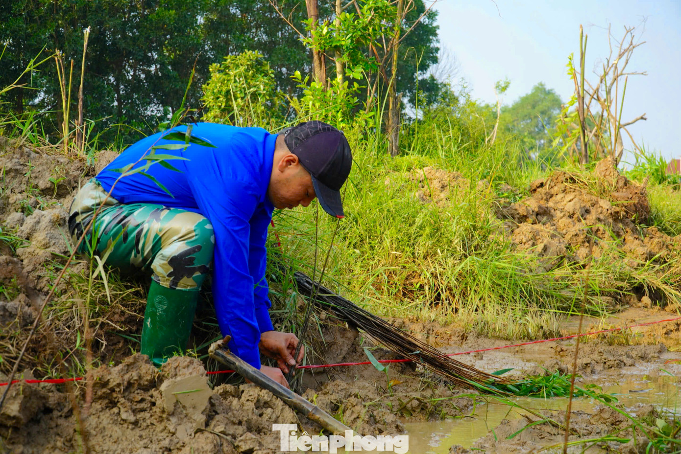Ngay sau lễ phát động, các đoàn viên, thanh niên trực tiếp trồng hơn 6.000 gốc cây tràm tại khu sinh thái.