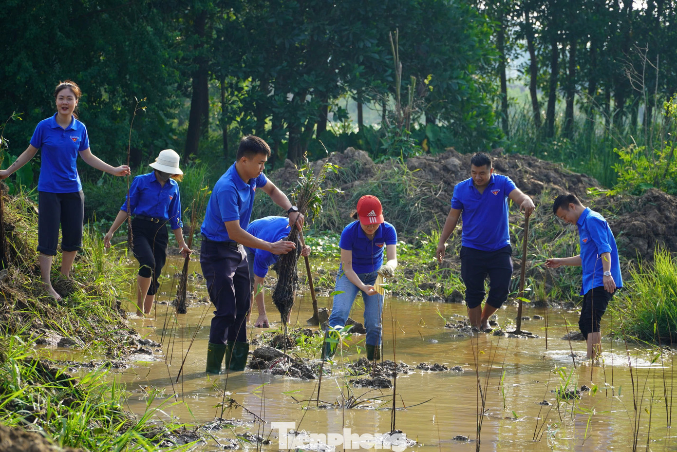 Ngay sau lễ phát động, các đoàn viên, thanh niên trực tiếp trồng hơn 6.000 gốc cây tràm tại khu sinh thái.