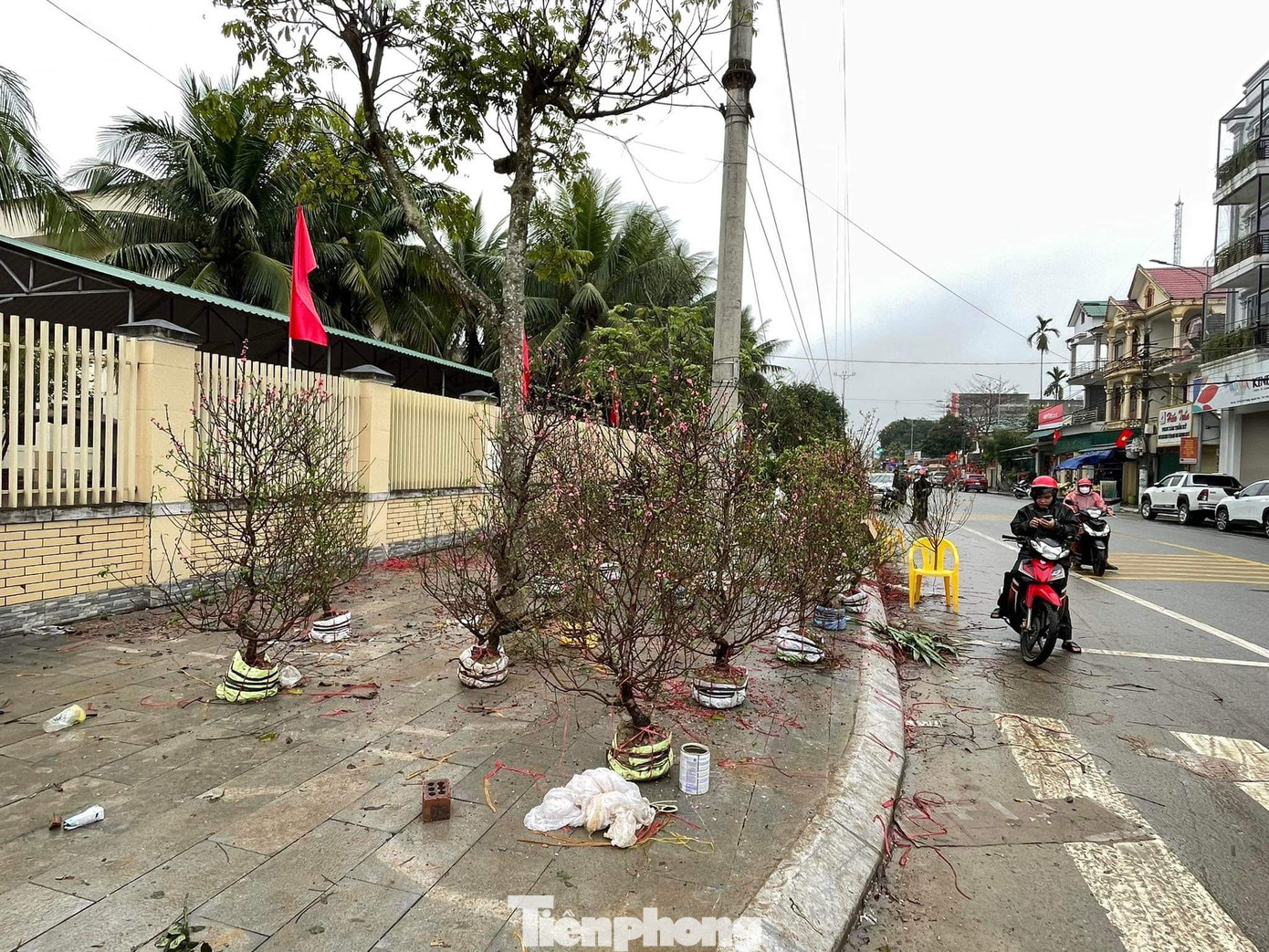 "Năm nay giá bán rẻ hơn, từ 28 Tết chúng tôi phải xả hàng, nhưng vẫn không có người mua. Giờ còn một ít gốc, tôi đang gắng gượng bán đến chiều 30 Tết mới về nhà sắm sửa đón Giao thừa cùng gia đình", một tiểu thương bán đào tại thị trấn Phố Châu, huyện Hương Sơn nói.