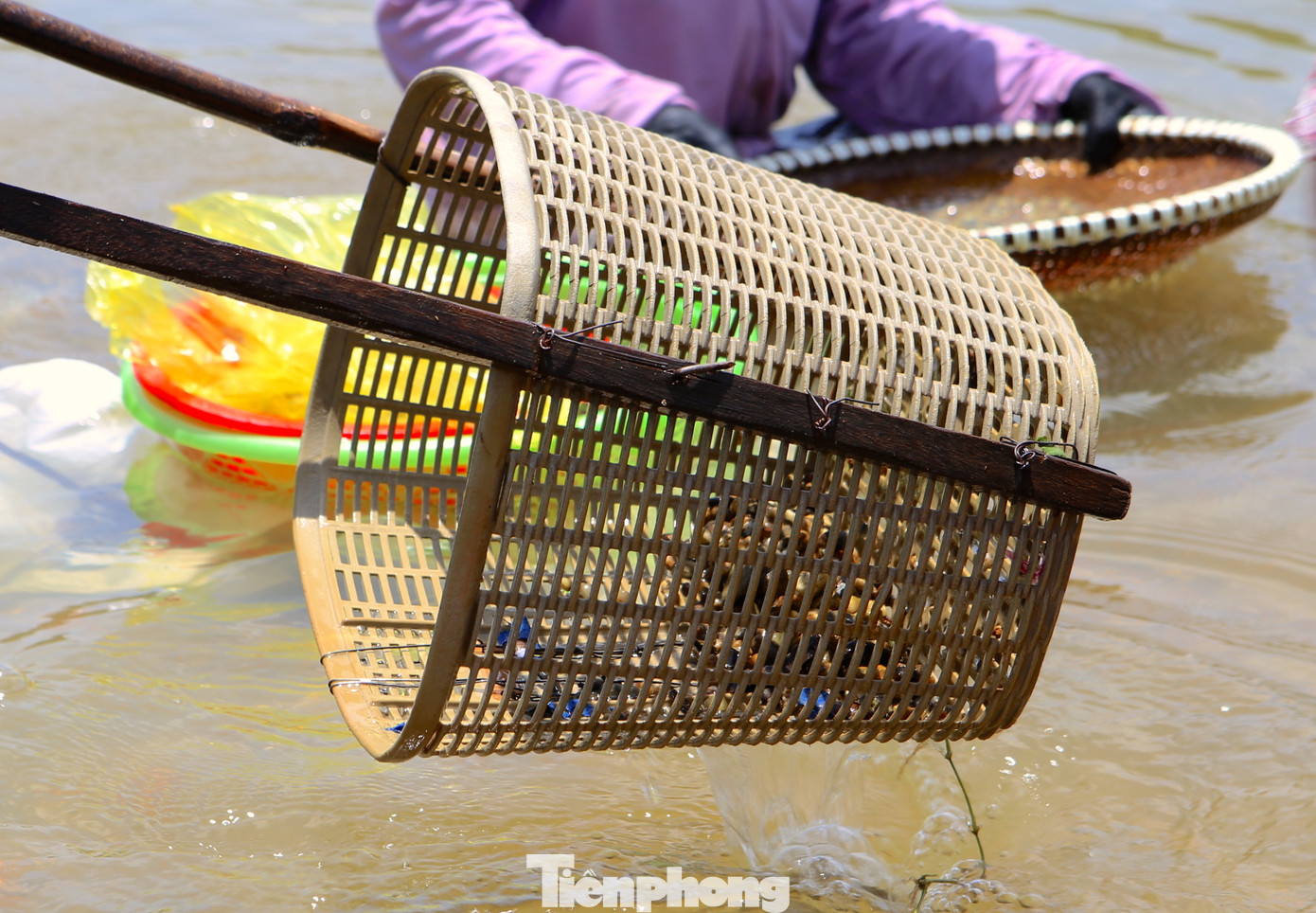 Dụng cụ cào hến được làm bằng tấm lưới, sắt và tay cầm được làm từ cây tre hoạch thanh gỗ....