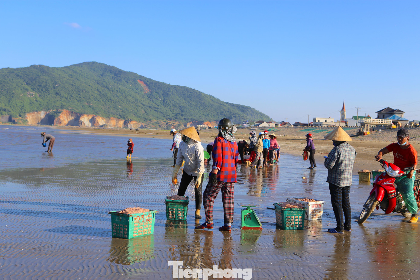 Ngư dân đánh bắt ruốc không kể thời gian, cứ đầy khoang thuyền là có thể vào bờ để bán, sau đó lại tiếp tục ra khơi.