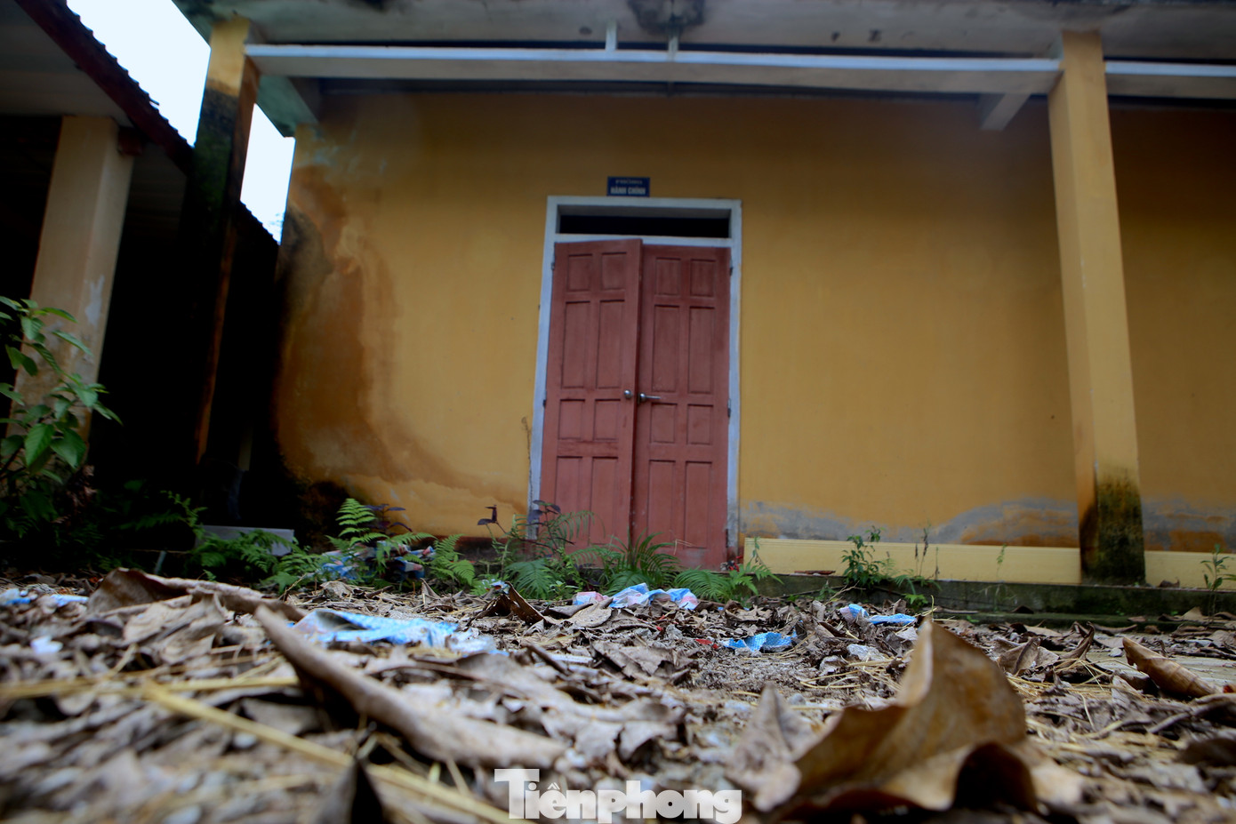 Khuôn viên bên trong trở nên nhếch nhác...