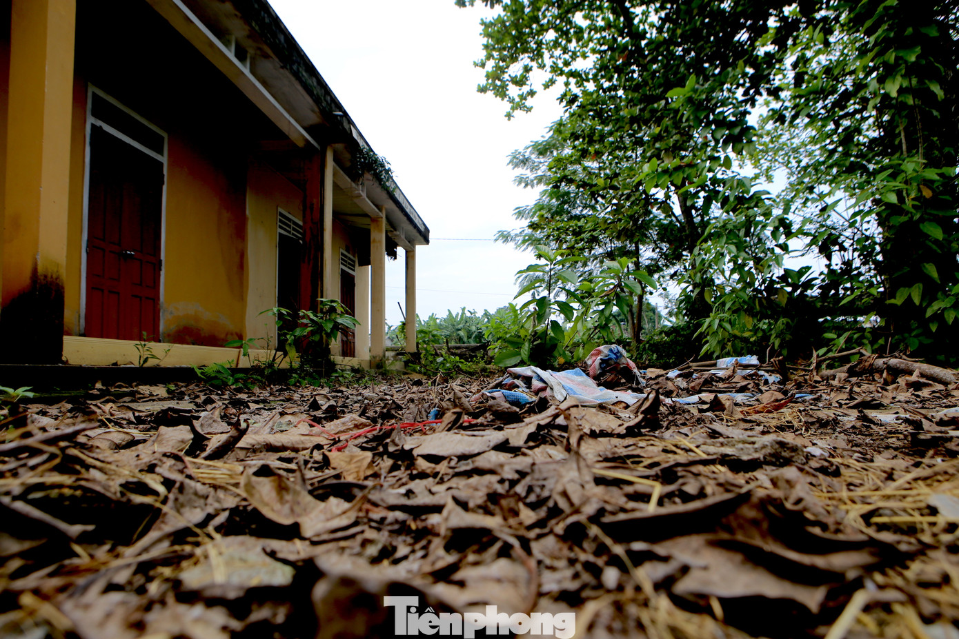 Khuôn viên bên trong trở nên nhếch nhác...