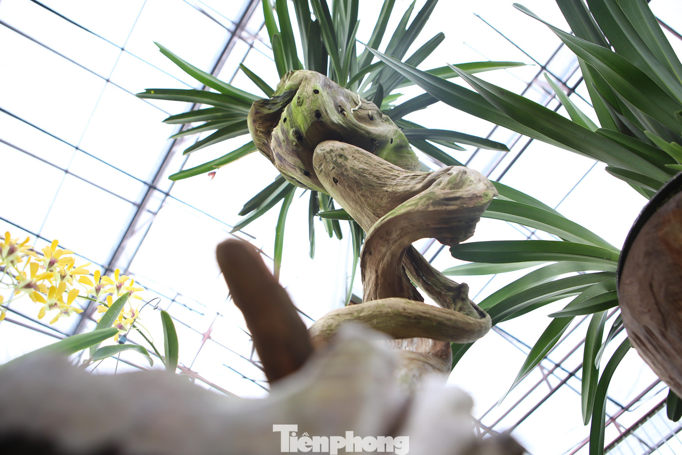 Đồng thời, trang trí, sắp xếp lại khuôn viên quy củ, đẹp mắt.