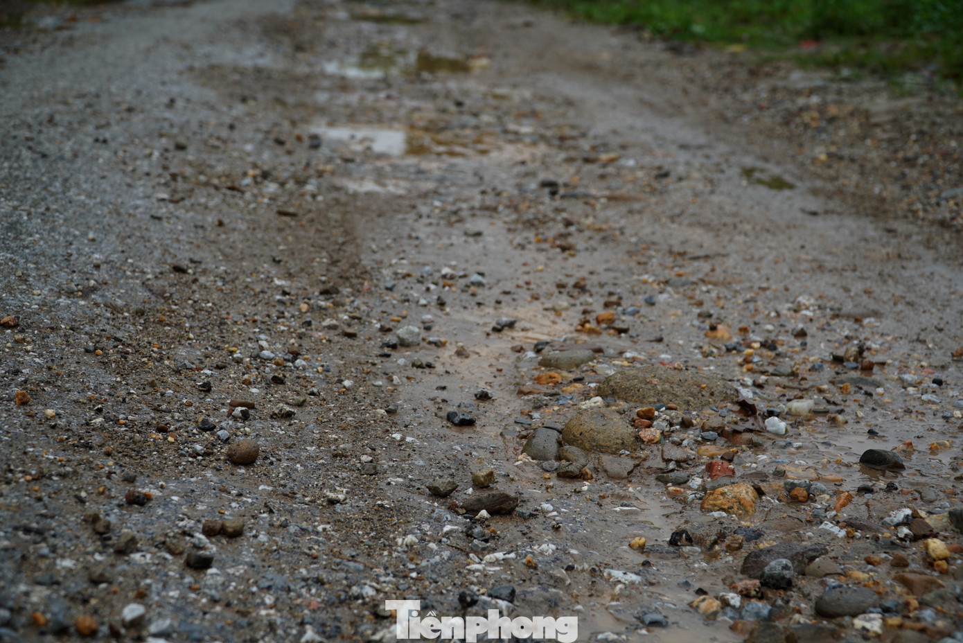 “Tuyến đường huyện lộ 6 đã xuống cấp nhiều năm qua. Hiện đã có kinh phí để triển khai nâng cấp, xây dựng tuyến đường này. Phía địa phương đang làm công tác giải phóng mặt bằng, sắp tới khi hoàn thiện sẽ triển khai xây dựng, trong kế hoạch sẽ thực hiện vào 2024”, lãnh đạo UBND xã Phú Gia, huyện Hương Khê cho biết.