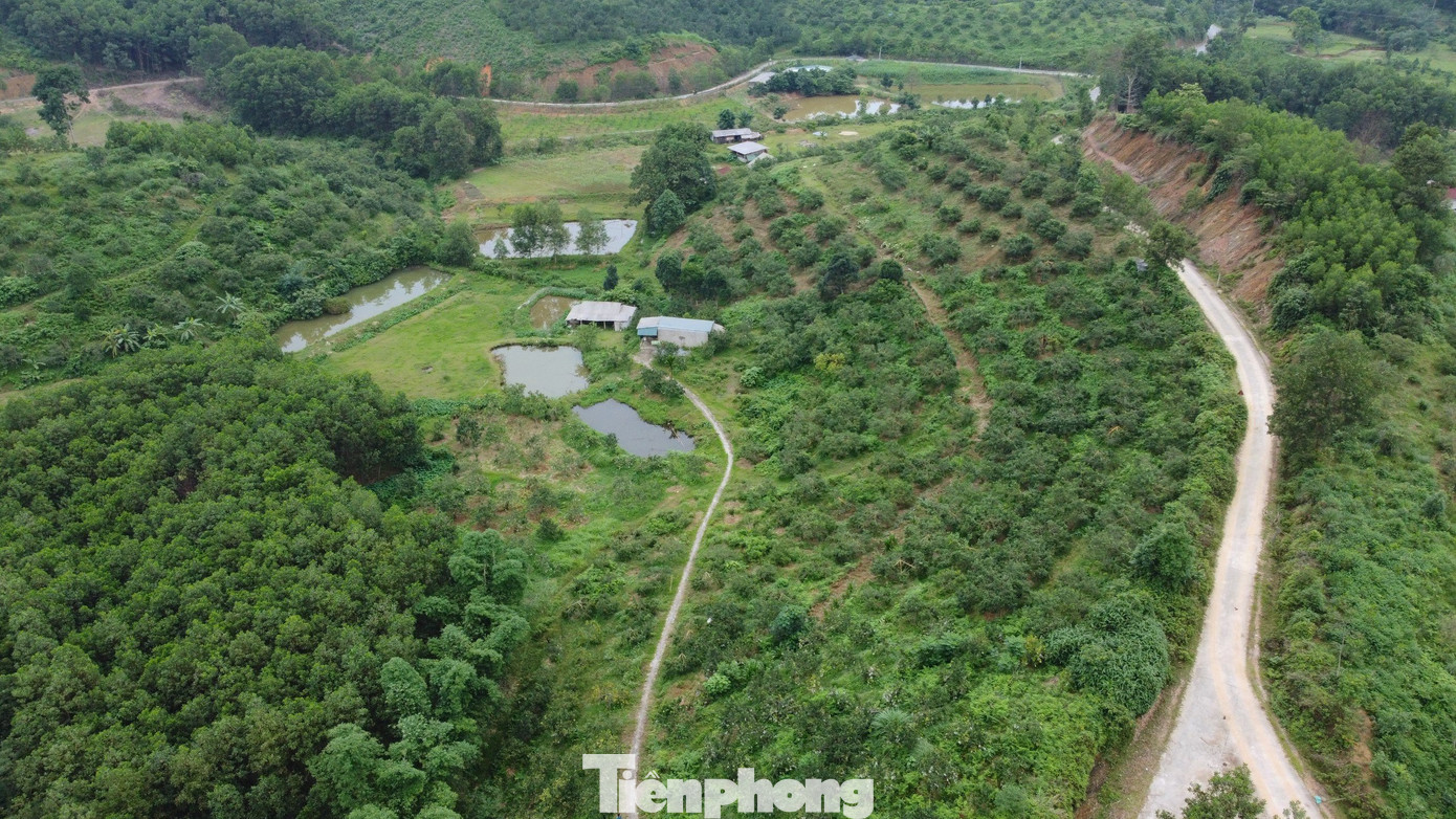Ông Lê Quang Toại (SN 1964, trú thôn Đăng, xã Thọ Điền, huyện Vũ Quang) đang sở hữu trang trại trồng cam rộng 2ha. Trang trại này được ông Toại cải tạo và trồng từ 2015 đến nay với 800 gốc cam chanh và cam bù. Ông Lê Quang Toại (SN 1964, trú thôn Đăng, xã Thọ Điền, huyện Vũ Quang) đang sở hữu trang trại trồng cam rộng 2ha. Trang trại này được ông Toại cải tạo và trồng từ 2015 đến nay với 800 gốc cam chanh và cam bù.
