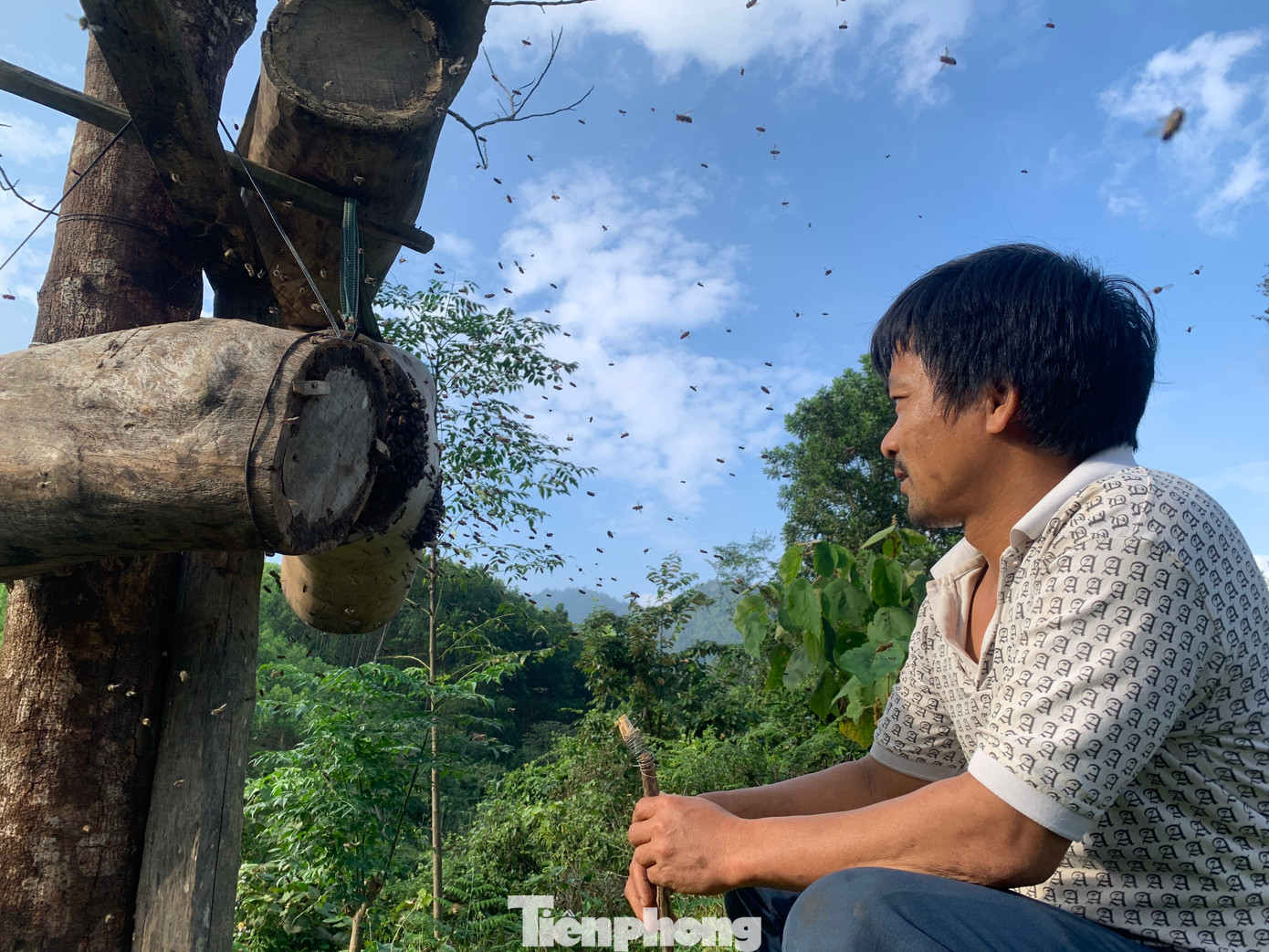 Lúc này anh sẽ chuẩn bị một tổ ong được làm từ thân gỗ rỗng bên trong có hình trụ và cây vợt có bán bằng vải màn với mục đích tìm ong sứ. Lúc này anh sẽ chuẩn bị một tổ ong được làm từ thân gỗ rỗng bên trong có hình trụ và cây vợt có bán bằng vải màn với mục đích tìm ong sứ.