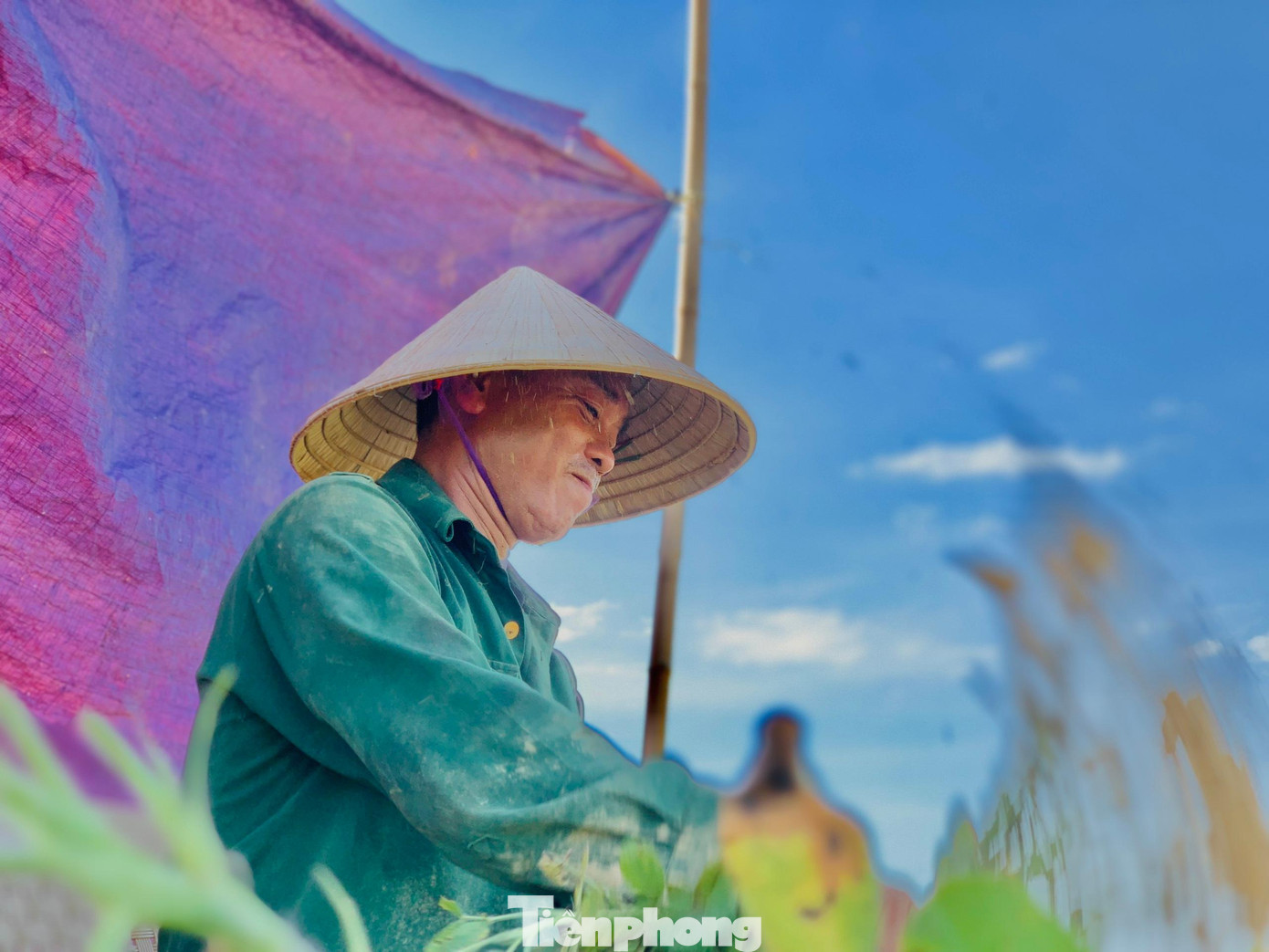 “Tôi phải căng bạt để tạo bóng im chứ nắng này không chịu nổi. Những ngày này, dân làm từ 3h sáng đến 8h là về, chiều làm từ 15h đến 20h.