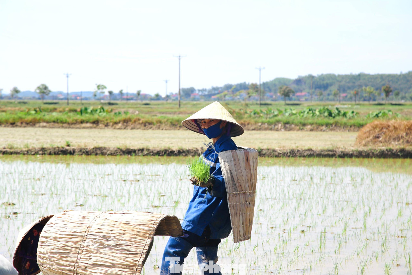 Dù làm dưới nước, trên cạn hay đi đường, chiếc áo tơi cũng được người dân mang trên lưng để giảm bớt nắng nóng, oi bức.