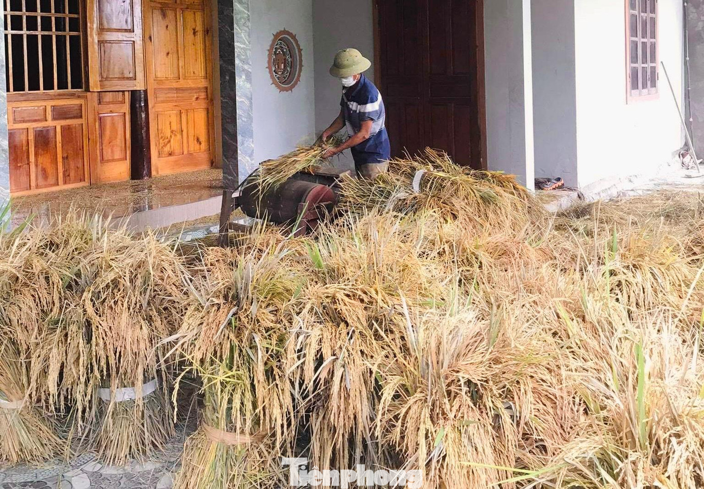 Tại huyện Hương Sơn hiện tại đã thu hoạch được 1.200 ha lúa hè thu (đạt 53,7% tổng diện tích). Hiện tại còn gần 50% diện tích lúa chưa được thu hoạch do những diện tích này lúa đang còn xanh. Nhiều hộ gia đình thu hoạch về đang dựng phía trong nhà tránh mưa.