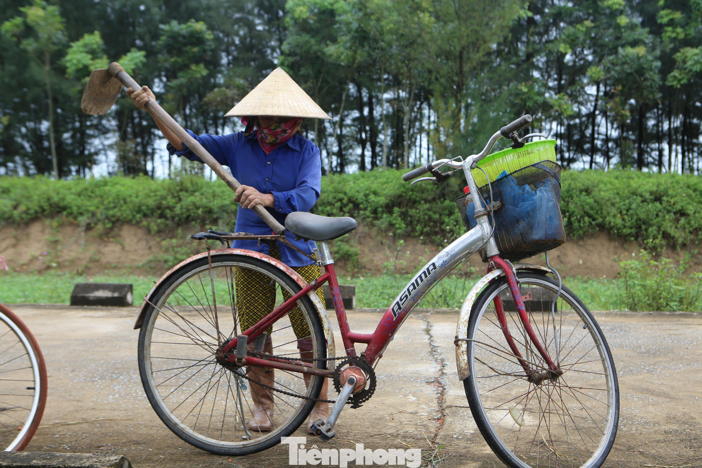 Người dân bắt dế chỉ đi vào buổi sáng, đến tầm trưa người dân sẽ về nhà.
