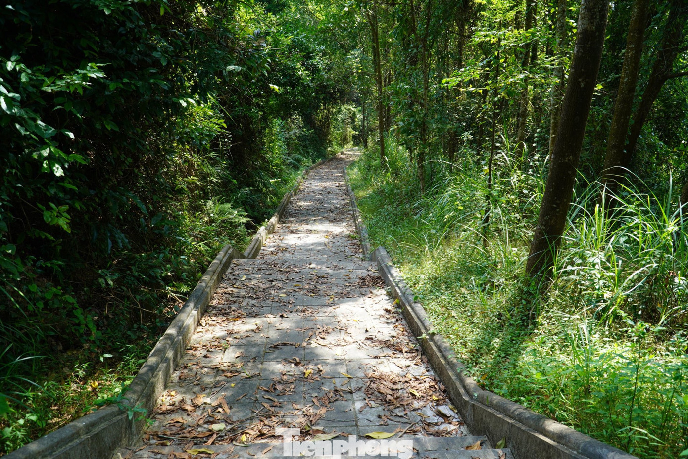 Từ vị trí lăng mộ, vượt qua hơn 260 bậc thang lên đỉnh núi cao là khu tượng đài. Công trình tượng đài nằm trên đỉnh núi Minh Tự, lọt thỏm giữa rừng xanh bạt ngàn.