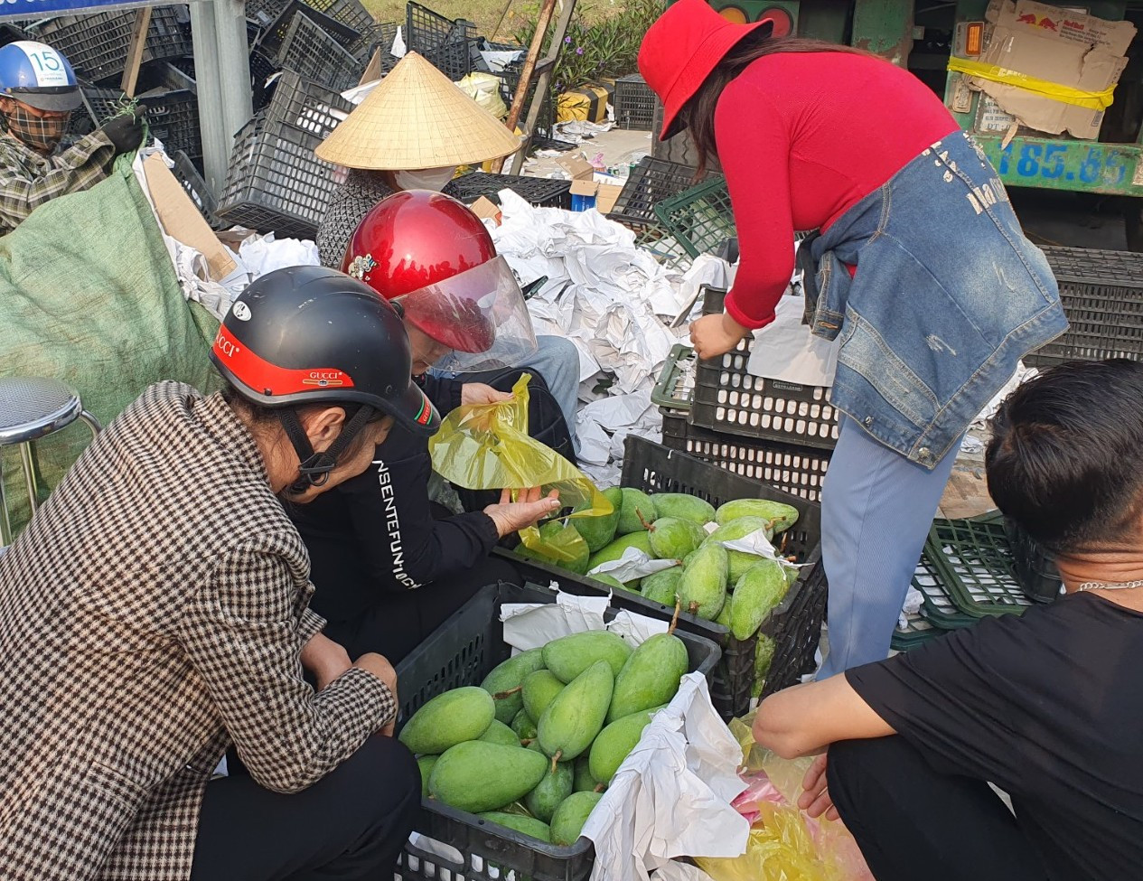 Chỉ trong vòng 2 ngày, người dân đã mua 20 tấn xoài giúp tài xế.