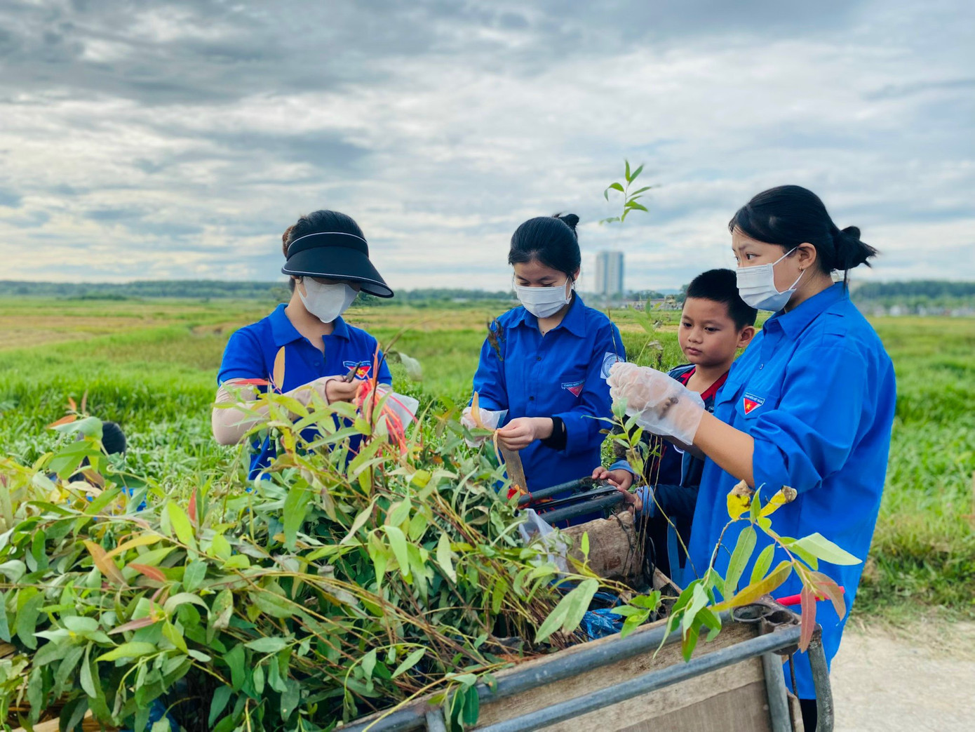 Đoàn viên thanh niên tham gia trồng cây xanh, vườn hoa thanh niên.