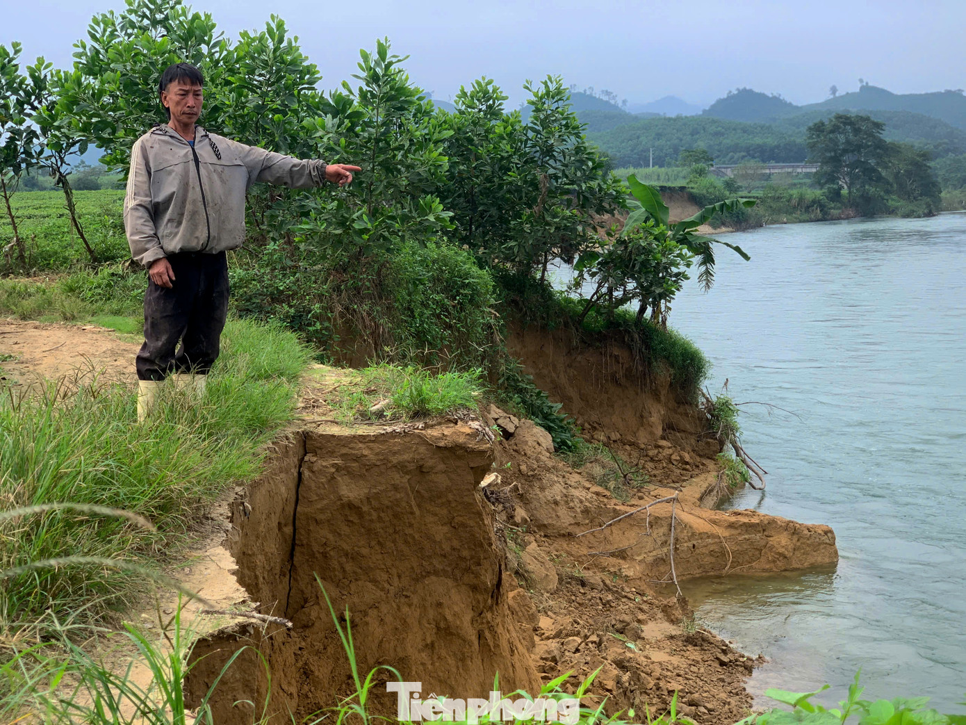 "Tình trạng sạt lở xảy ra đã nhiều năm nay, người dân cùng với chính quyền xã đã nhiều lần kiến nghị cấp trên quan tâm, bố trí dự án kè bờ sông Ngàn Phố để hạn chế sạt lở, bảo vệ đất canh tác cho người dân. Tuy nhiên, đến nay vẫn chưa thực hiện được", lãnh đạo xã Sơn Kim 2 cho biết.