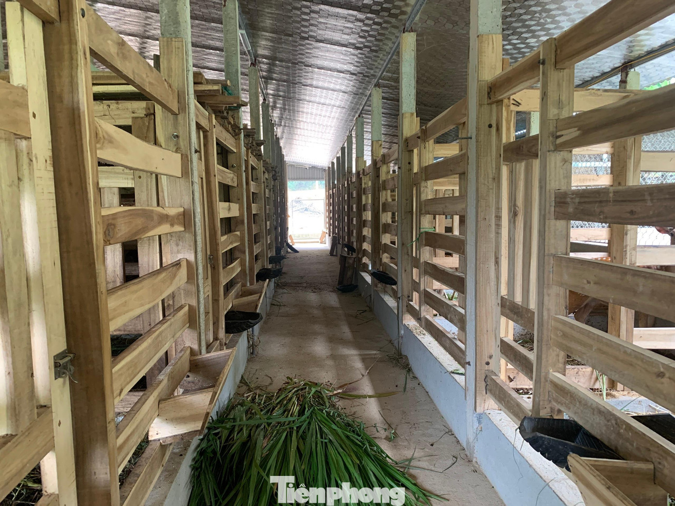 Chuồng trại được đầu tư với quy mô lớn.