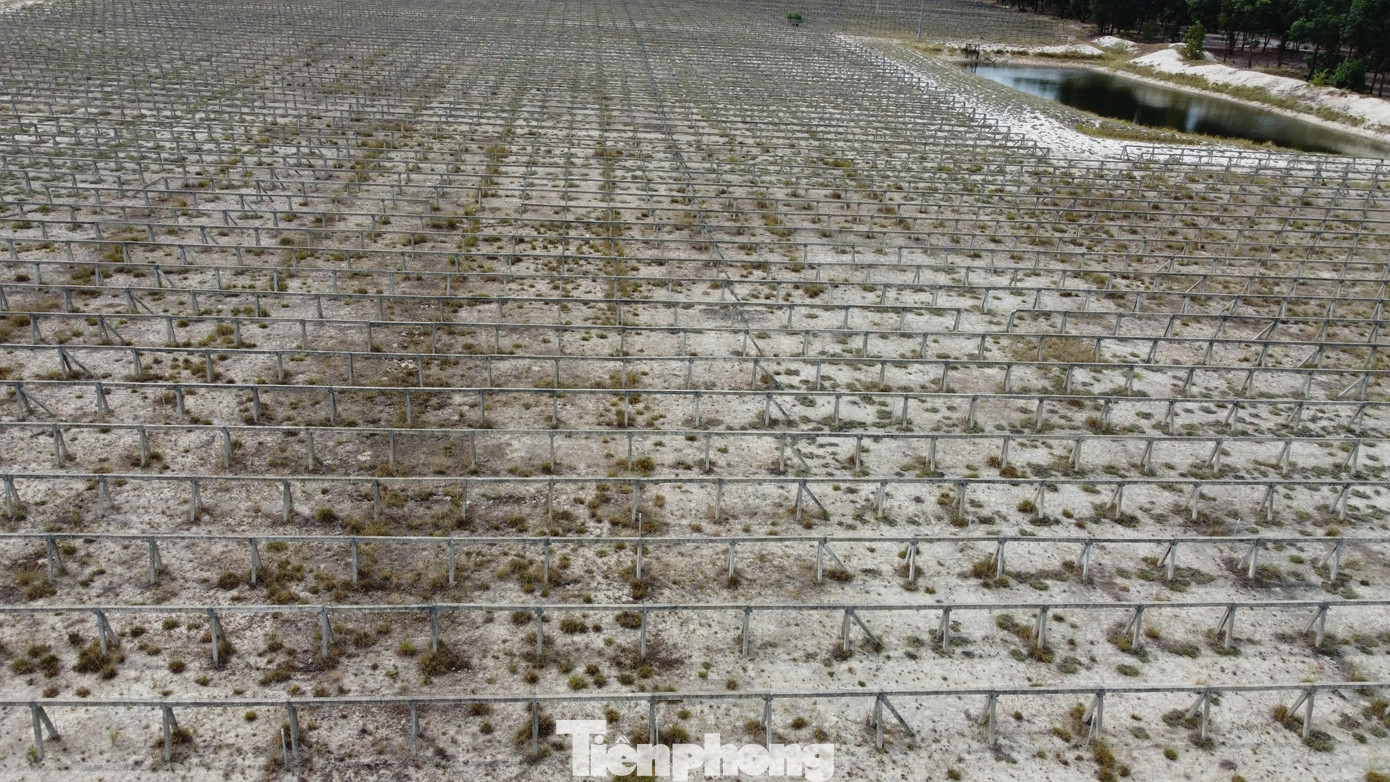 Gần 100ha diện tích đất trong dự án đang bỏ hoang.