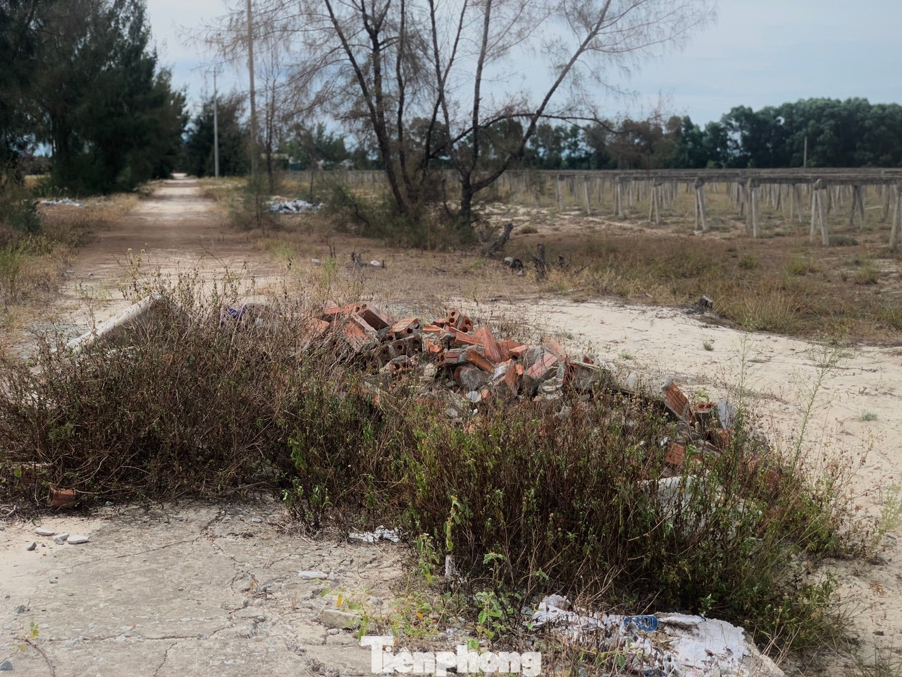 Nhiều vị trí trên đường dẫn vào dự án đã trở thành nơi đổ rác thải xây dựng.