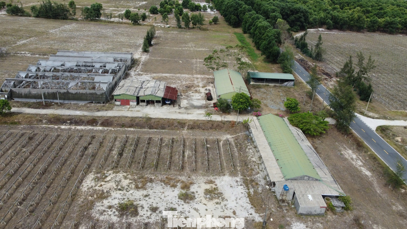 Trước đó chủ đầu tư trồng một số loại rau củ quả trên diện tích khoảng hơn 2ha. Song hoạt động được thời gian rồi bỏ hoang, nhà xưởng, máy móc bỏ phế.