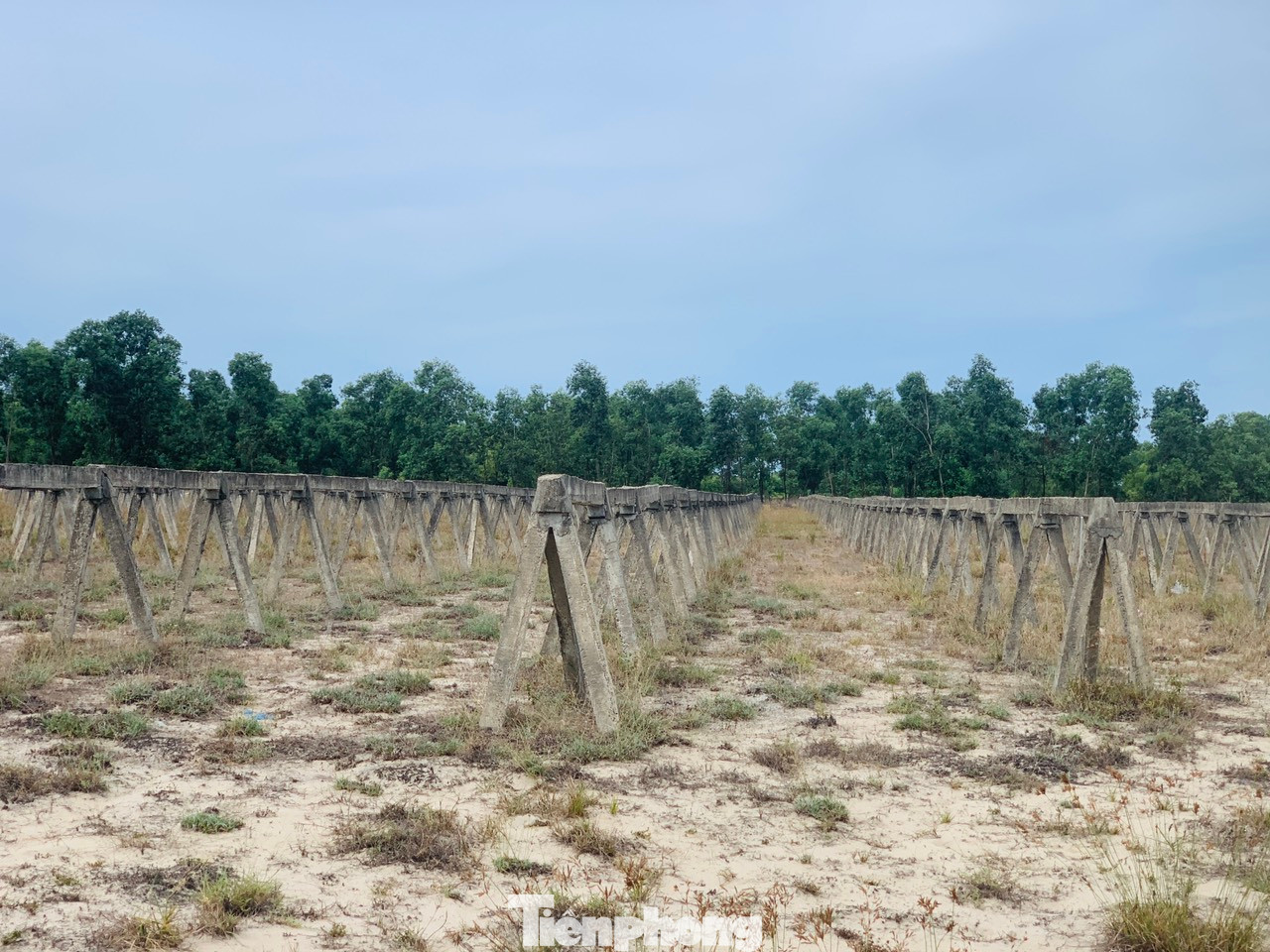 Mục tiêu của dự án là tổ chức trồng trọt, sản xuất rau, củ, quả đạt tiêu chuẩn sạch, chất lượng, an toàn, giàu dinh dưỡng thông qua việc đầu tư xây dựng vùng nông nghiệp quy mô lớn, ứng dụng công nghệ cao, tự động hóa, nhằm cung cấp cho nhu cầu trong nước và xuất khẩu.