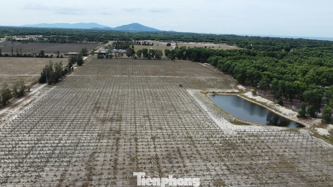 Do gặp khó khăn trong quá trình sản xuất, năm 2019, chủ đầu tư đã xin điều chỉnh quy mô diện tích thực hiện dự án từ 240ha xuống 96ha. Dự án nằm trên diện tích đất cát ở thôn Tân Văn, Đông Văn của xã Thạch Văn.
