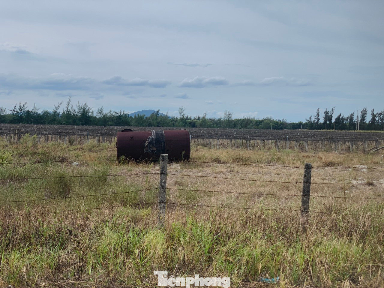 “Dự án này bị bỏ hoang khá lâu không sản xuất, cử tri kiến nghị rất nhiều lần. Hiện nay dự án nông nghiệp công nghệ cao đã có thông báo tạm dừng hoạt động. Nhưng địa phương vẫn mong muốn ngành chức năng tiếp tục quan tâm, chỉ đạo khai thác, giao lại cho nhân dân hoặc tổ hợp, hợp tác xã sản xuất nhằm tạo ra thu nhập và môi trường sinh trên vùng đất cát bạc màu", lãnh đạo UBND xã Thạch Văn, huyện Thạch Hà cho biết.