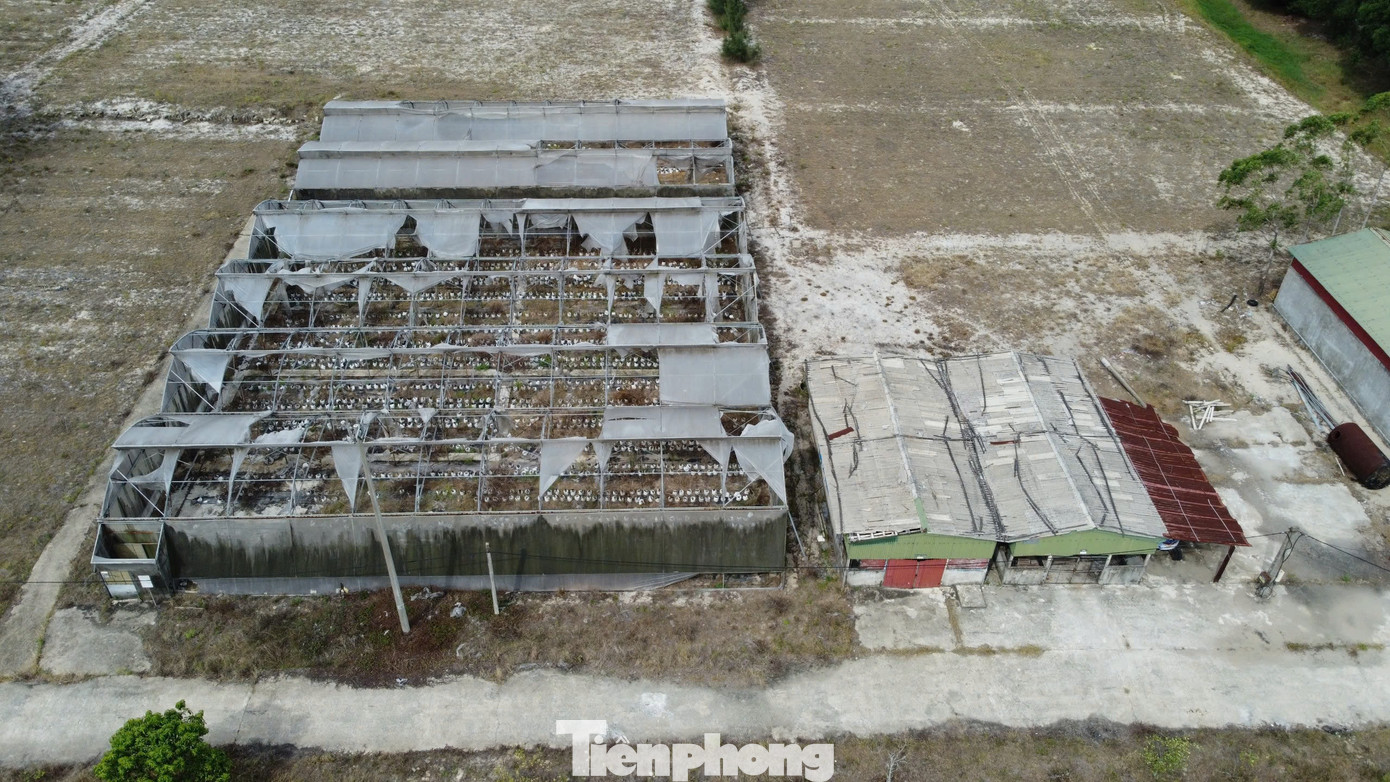 Do hoạt động không hiệu quả, tháng 4, Sở Kế hoạch và Đầu tư Hà Tĩnh đã có thông báo chấm dứt hoạt động của dự án nông nghiệp công nghệ cao ở xã Thạch Văn. Trong ảnh khu nhà lưới tại dự án sau thời gian dài không sử dụng đã xuống cấp.