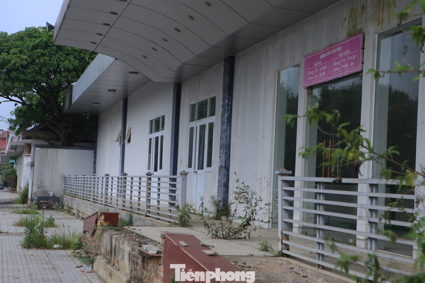 “Nếu không thực hiện dự án thì phải thu hồi, làm dự án khác. Còn không trả lại cho người dân, bỏ hoang vậy rất lãng phí, bởi khu đất này nằm ở vị trí đắc địa”, bà Nguyễn Thị Tuyết, trú xã Thạch Trung cho biết.