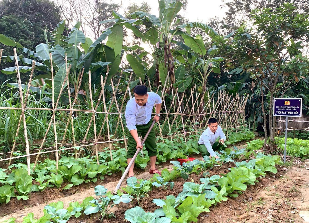 Hưởng ứng phong trào của Đoàn Thanh niên Công an tỉnh Hà Tĩnh, thời gian qua, Chi Đoàn Công an xã Sơn Châu và Chi đoàn Công an xã Quang Diệm (huyện Hương Sơn) đã xây dựng thành công mô hình “Vườn rau thanh niên”.