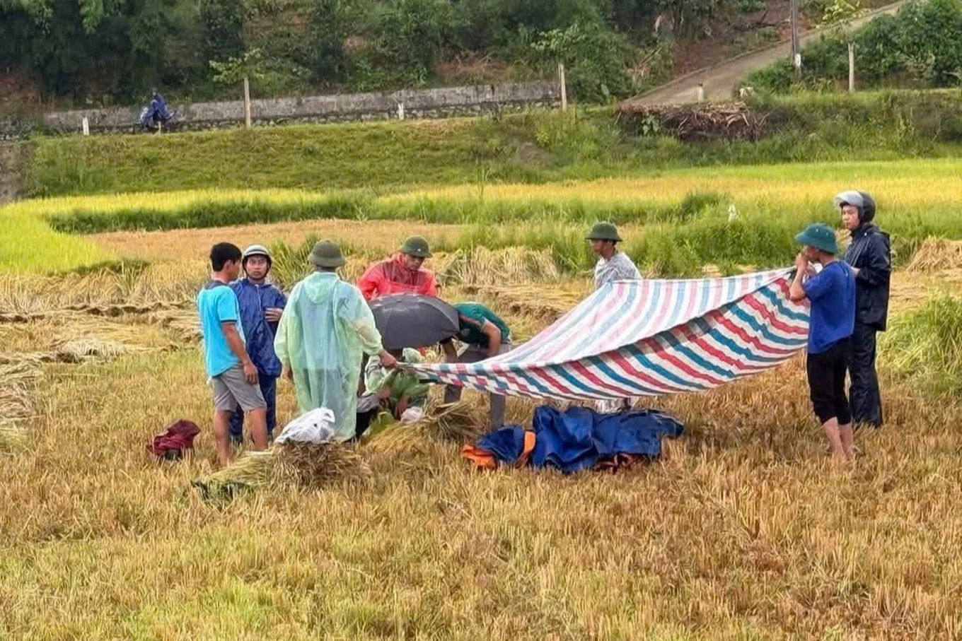 Hiện trường nơi xảy ra vụ việc. Hiện trường nơi xảy ra vụ việc.