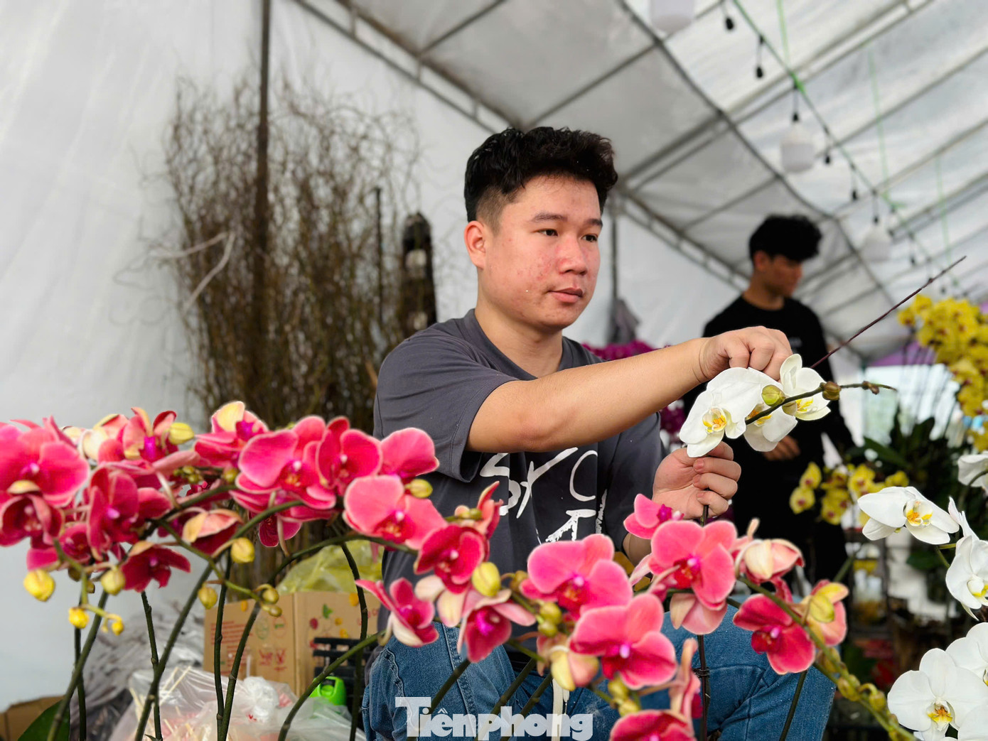 Nhiều thợ cắm hoa cho biết, những ngày cắm hoa Tết kiếm được hàng triệu đồng/ngày, tuỳ theo tay nghề từng thợ. Đặc biệt vào ngày cao điểm, thợ làm không ngơi tay, thu nhập có thể lên tới 4-5 triệu đồng.