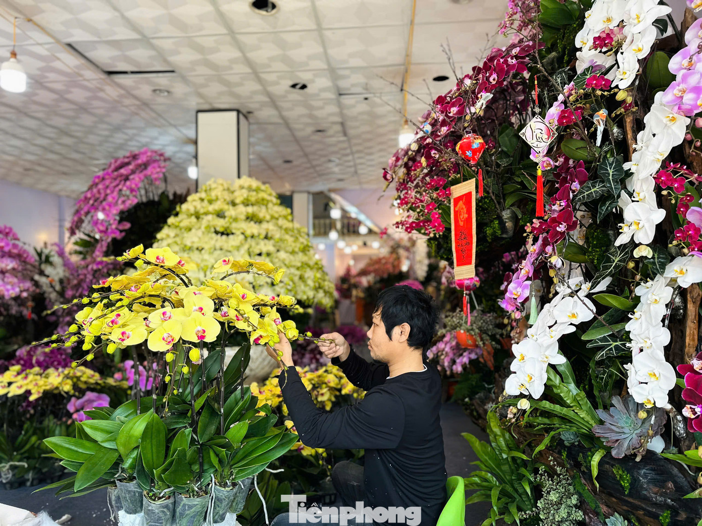 Anh Nam (SN 1986, trú xã Thạch Đồng) có 20 năm kinh nghiệm trong nghề cắm hoa đang miệt mài cắm hoa lan vào chậu cho một cơ sở kinh doanh hoa Tết tại TP. Hà Tĩnh. Những ngày này, khách lẻ và các mối hàng lớn khá nhiều nên anh gần như bận rộn từ sáng sớm đến đêm muộn để kịp làm hoa chậu phục vụ khách.