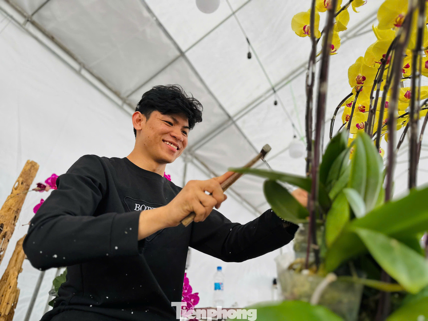 Những ngày qua, anh Thành (24 tuổi, trú huyện Thạch Hà) cũng làm việc cả ngày đến đêm cắm hoa phục vụ nhu cầu khách trong dịp Tết. Theo anh Thành, những ngày thường anh làm thợ cắm hoa cho tiệm hoa tươi, dịp Tết khi tăng ca, đơn hàng nhiều, anh được chủ trả lương theo từng sản phẩm. Theo chàng trai 24 tuổi, việc cắm hoa tùy vào thẩm mỹ của từng người và phải có sáng tạo riêng. Hoa lan đẹp nhưng dễ gãy nên cần phải cẩn thận, khéo léo.