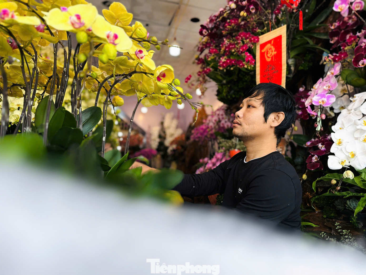 Anh Nam cho biết, mỗi ngày tùy theo đơn đặt hàng yêu cầu của khách hàng, chủ cơ sở yêu cầu, anh có thể cắm từ 200-300 cành hoa lan.