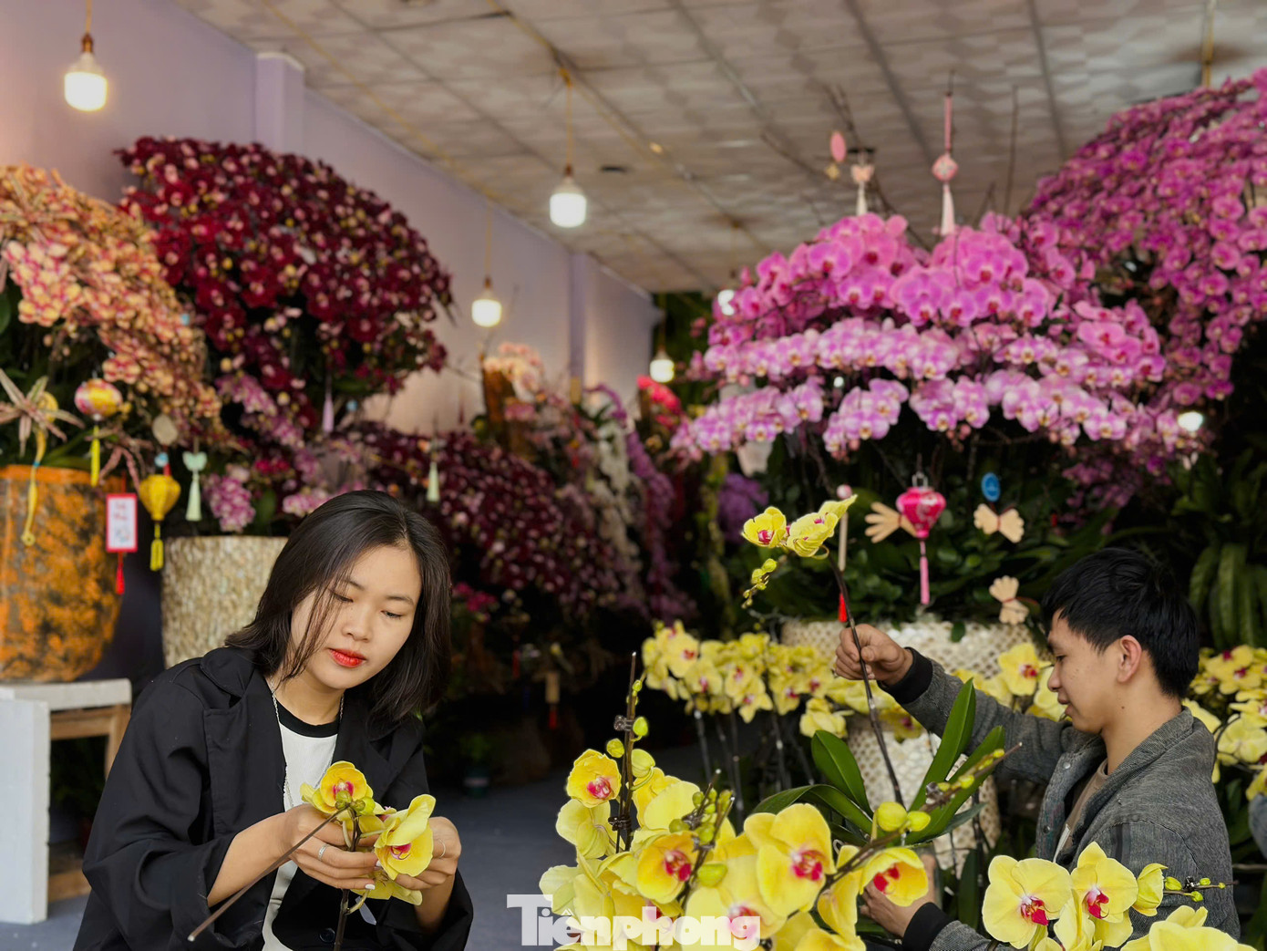 Được biết, hiện tại tiền công dịch vụ cho mỗi cành lan được cắm lên chậu thợ hoa nhận về 15.000 đồng. Nhiều bạn trẻ tranh thủ thời điểm này nhận cắm hoa dịch vụ thuê theo thời vụ.